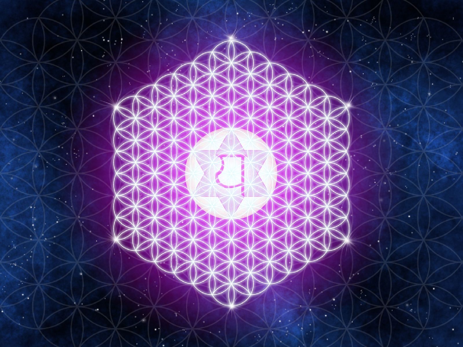 5D Ascension Boost FREE LIVESTREAM